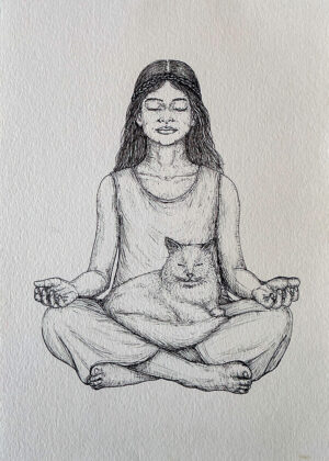 Meditando com Gato